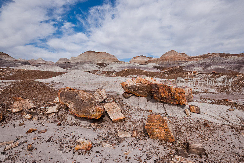 Blue Mesa的Badlands Formation